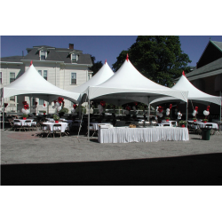 Leje af Pagode telt 16m2