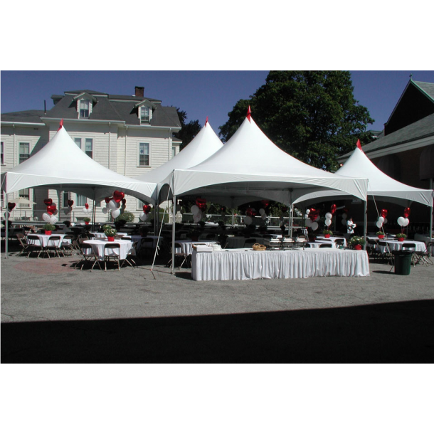 Leje af Pagode telt 16m2