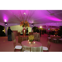 Leje af Pagode telt 36m2