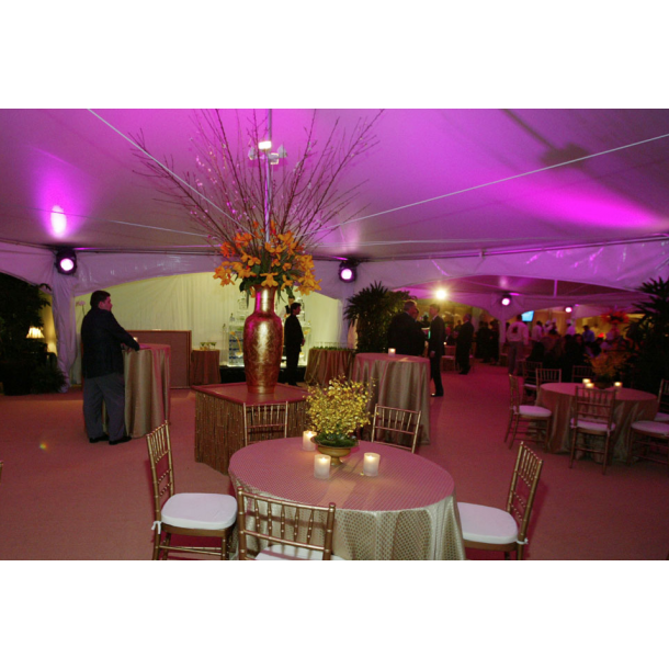 Leje af Pagode telt 36m2