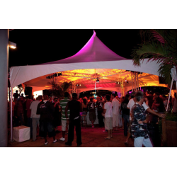 Leje af Pagode telt 36m2